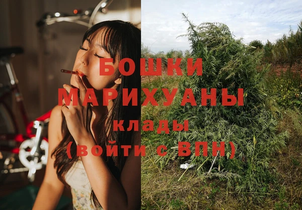 2c-b Рославль