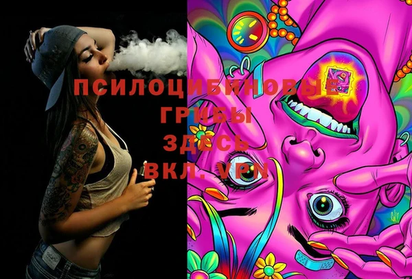2c-b Рославль